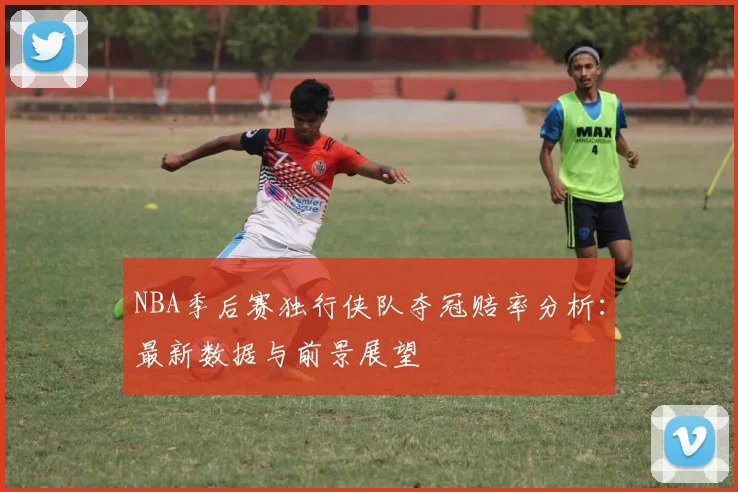 NBA季后赛独行侠队夺冠赔率分析：最新数据与前景展望