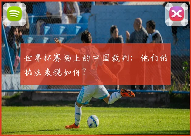 世界杯赛场上的中国裁判：他们的执法表现如何？