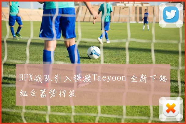 BFX战队引入强援Taeyoon 全新下路组合蓄势待发