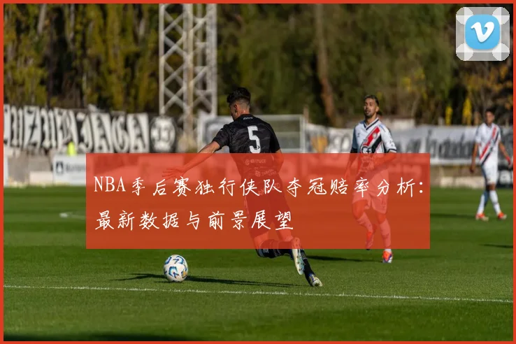 NBA季后赛独行侠队夺冠赔率分析：最新数据与前景展望